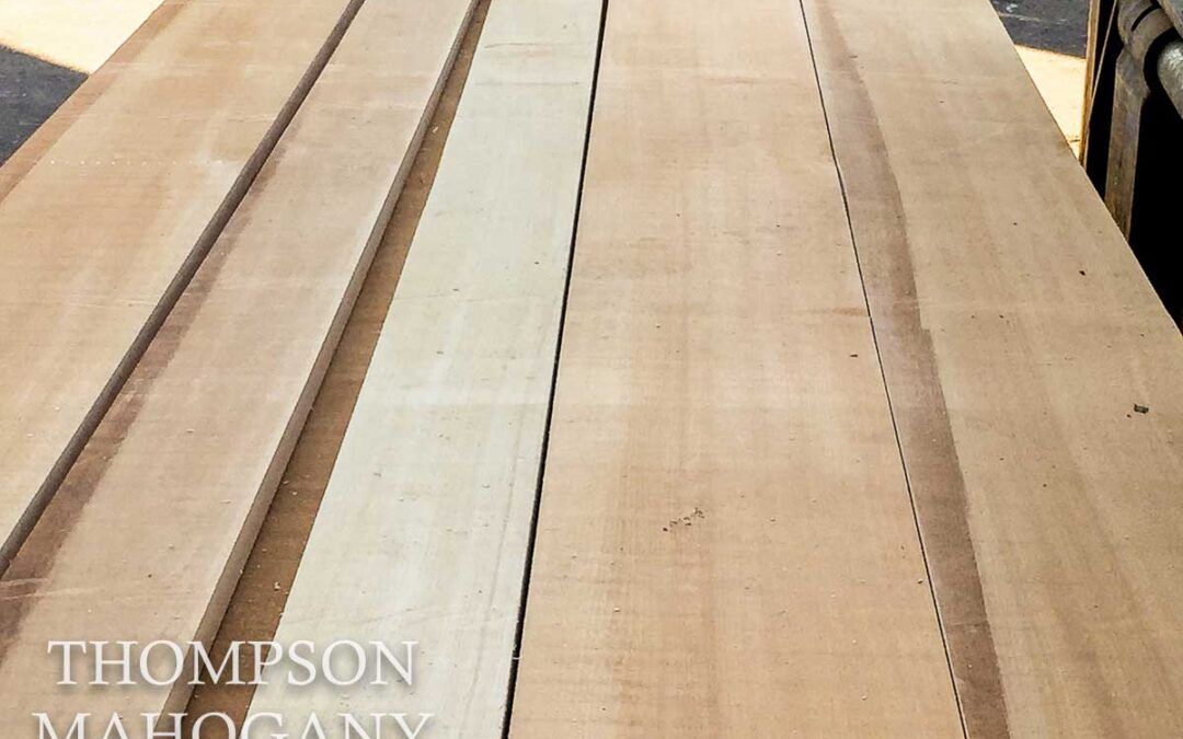 Quartersawn European Beech Now in Stock