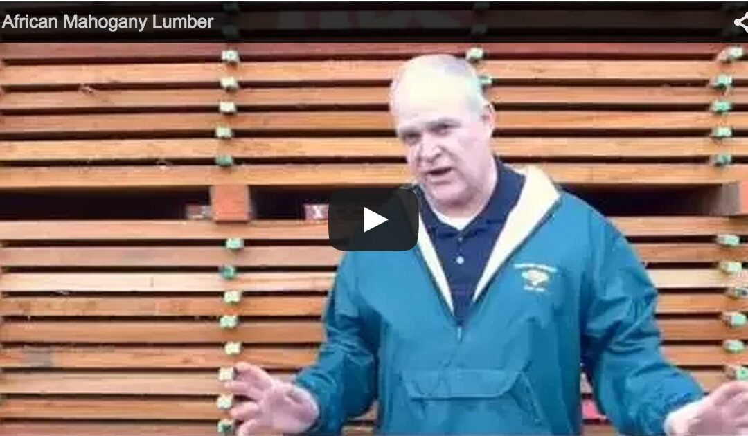 Video: African Mahogany Lumber