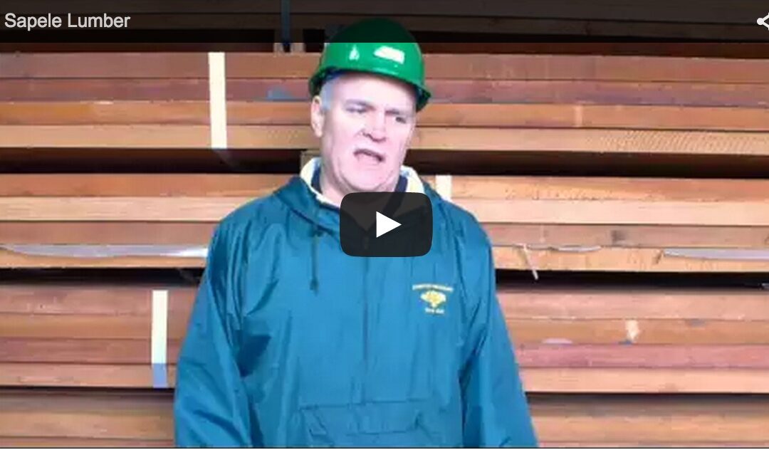 Video: Sapele Lumber