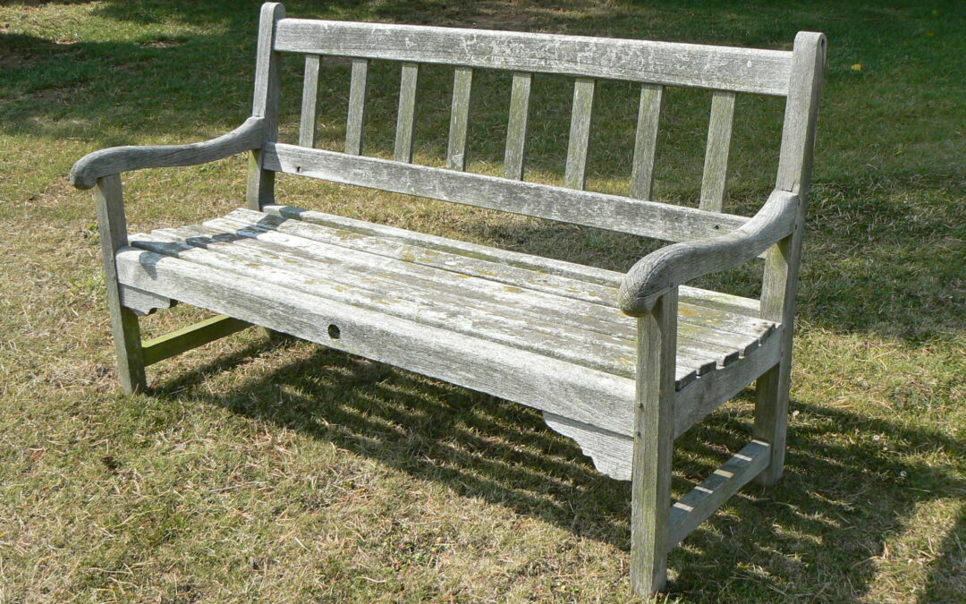 Why Hardwood Changes Colors?